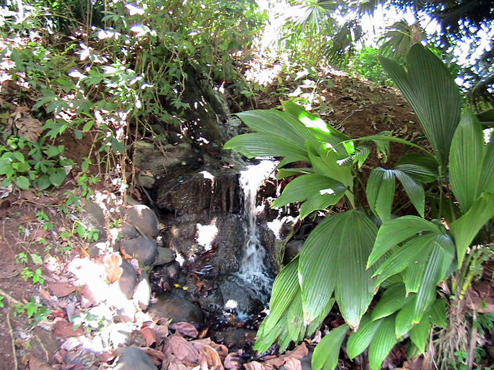 28 - Jardin des eaux 034.jpg